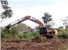 Excavadoras Caterpillar 320CL (Balao Grande)