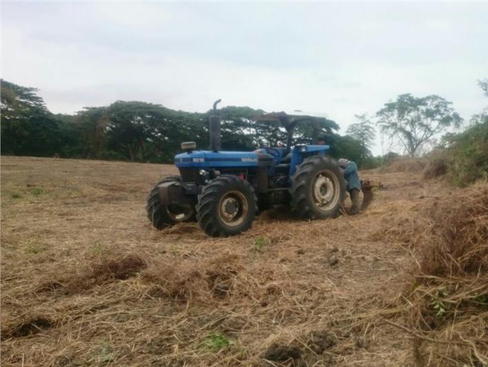 Tractores Agrícolas Ford 8020 (Cerecita)