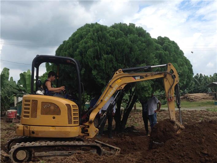 Miniexcavadoras Caterpillar 302.7D CR (Guayaquil)