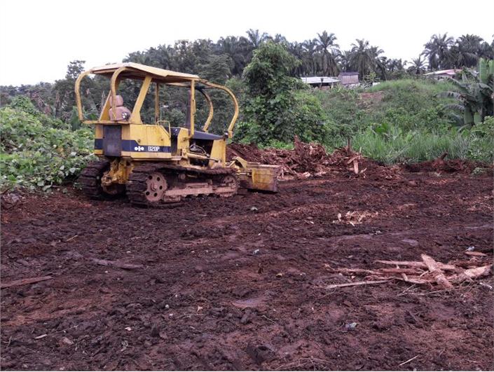 Tractores de Oruga Caterpillar D2 (El Cármen)