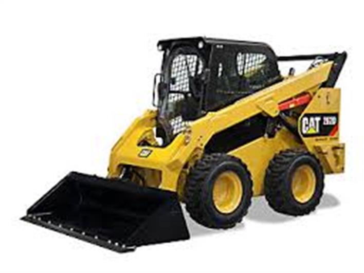 Minicargadores Caterpillar 246 (Coca)