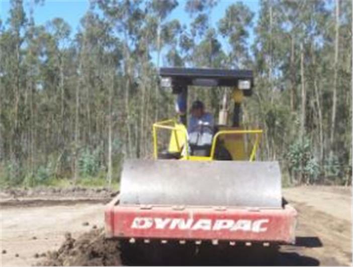 Compactadores Dynapac 12 tn. CA 250 D (Quito)