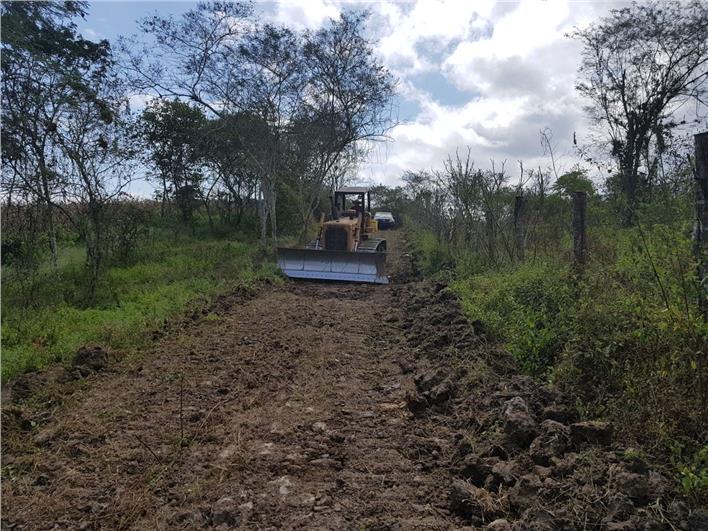 Tractores de Oruga Caterpillar D6 C (Quito)