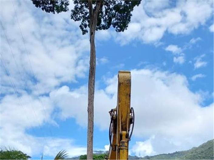 Excavadoras Komatsu PC270LC  (Zumba)