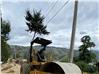 Compactadores Caterpillar CS533E (Cuenca)