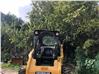 Minicargadores Caterpillar 246C (Cuenca)