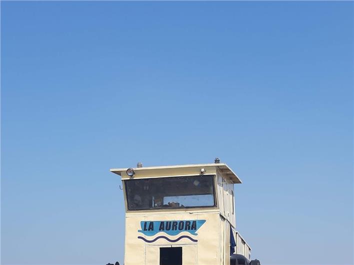 Draga GENERICO Generico (Guayaquil)