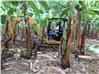 Miniexcavadoras Caterpillar 302.5C (Guayaquil)