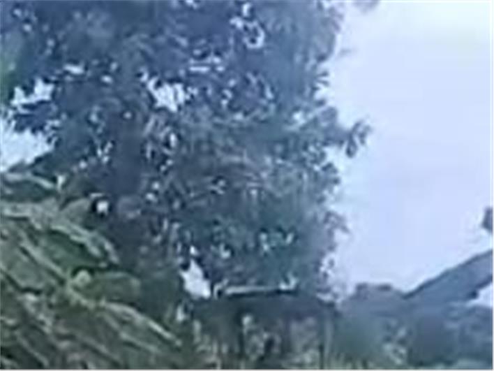 Motoniveladoras Caterpillar 120B (Guayaquil)