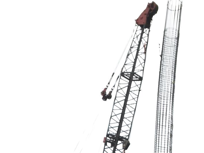 Grúas Móviles Terex Richier (10 toneladas) (Guayaquil)