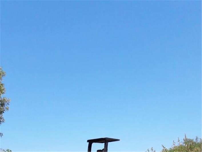 Compactadores JCB Rodillo liso (Guayaquil)