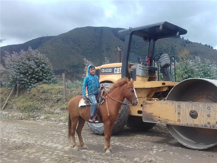 Rodillo Neumático Caterpillar CS533D (Quito)