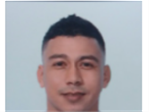 Hamilton Geovanny M